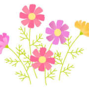 ヒメ日記 2025/09/12 17:36 投稿 もえ マドンナ浜松町