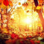 ヒメ日記 2025/09/13 10:58 投稿 もえ マドンナ浜松町