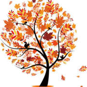 ヒメ日記 2025/09/20 11:01 投稿 もえ マドンナ浜松町