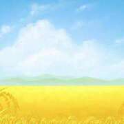 ヒメ日記 2025/10/17 10:02 投稿 もえ マドンナ浜松町