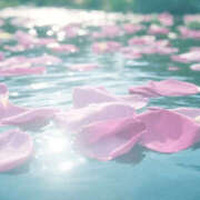 ヒメ日記 2025/11/20 10:01 投稿 もえ マドンナ浜松町