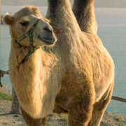 ヒメ日記 2025/12/11 10:31 投稿 もえ マドンナ浜松町