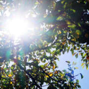 ヒメ日記 2025/12/15 15:44 投稿 もえ マドンナ浜松町