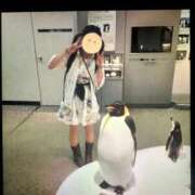 ヒメ日記 2026/01/15 11:20 投稿 しおん 即トク奥さん