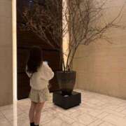 ヒメ日記 2025/06/11 10:31 投稿 イロハ マテリアル