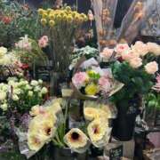 ヒメ日記 2025/07/31 21:01 投稿 イロハ マテリアル