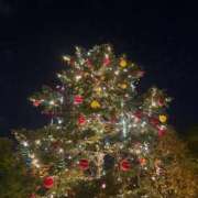 ヒメ日記 2025/11/17 20:01 投稿 イロハ マテリアル