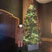 イロハ ? マテリアル