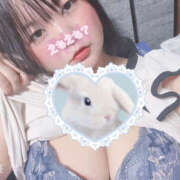 ヒメ日記 2025/09/12 19:40 投稿 もも 僕らのぽっちゃリーノin越谷