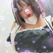 ヒメ日記 2025/10/04 09:10 投稿 もも 僕らのぽっちゃリーノin越谷