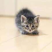 ヒメ日記 2025/11/20 11:01 投稿 ねね 初体験