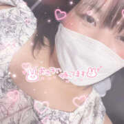 ヒメ日記 2025/09/11 17:20 投稿 もも 僕らのぽっちゃリーノin春日部