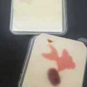 まりこ おはようございます 新橋Sweets（スウィーツ）