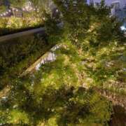 ヒメ日記 2025/06/11 21:15 投稿 櫻井 玲子 白夜