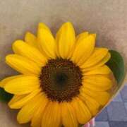 ヒメ日記 2025/06/27 19:51 投稿 櫻井 玲子 白夜