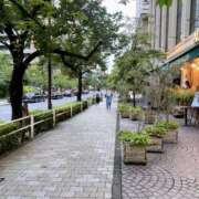 ヒメ日記 2025/07/16 21:35 投稿 櫻井 玲子 白夜