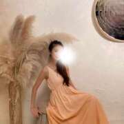 ヒメ日記 2025/07/16 22:29 投稿 櫻井 玲子 白夜