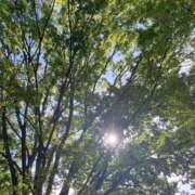 ヒメ日記 2025/07/25 16:26 投稿 櫻井 玲子 白夜