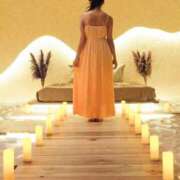 ヒメ日記 2025/08/23 08:36 投稿 櫻井 玲子 白夜