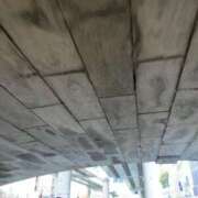 ヒメ日記 2025/10/22 12:18 投稿 櫻井 玲子 白夜