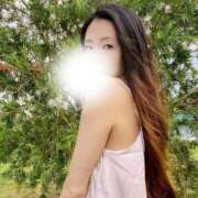 ヒメ日記 2025/11/03 08:03 投稿 櫻井 玲子 白夜