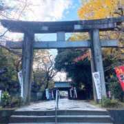 ヒメ日記 2025/11/19 16:28 投稿 櫻井 玲子 白夜