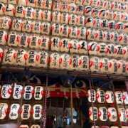 ヒメ日記 2025/11/24 02:51 投稿 櫻井 玲子 白夜