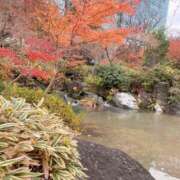 ヒメ日記 2025/12/02 17:20 投稿 櫻井 玲子 白夜