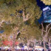 ヒメ日記 2025/12/02 22:13 投稿 櫻井 玲子 白夜