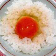 ヒメ日記 2025/12/24 13:41 投稿 櫻井 玲子 白夜