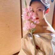 ヒメ日記 2026/01/06 08:21 投稿 櫻井 玲子 白夜