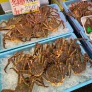 ヒメ日記 2026/02/25 18:27 投稿 櫻井 玲子 白夜