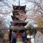 ヒメ日記 2026/03/24 20:37 投稿 櫻井 玲子 白夜