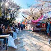 ヒメ日記 2026/04/02 22:29 投稿 櫻井 玲子 白夜