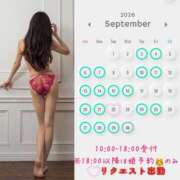 ヒメ日記 2026/09/11 08:21 投稿 櫻井 玲子 白夜