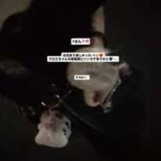 ヒメ日記 2025/07/28 00:25 投稿 そうな 新宿サンキュー