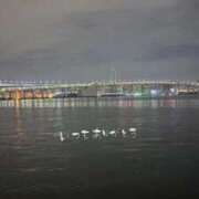 ヒメ日記 2025/08/19 01:05 投稿 そうな 新宿サンキュー