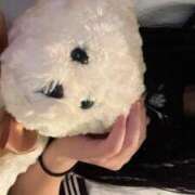 ヒメ日記 2025/06/10 16:05 投稿 つむぎ 秋葉原コスプレ学園in西川口