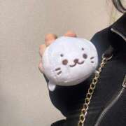 ヒメ日記 2025/06/25 10:26 投稿 つむぎ 秋葉原コスプレ学園in西川口