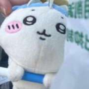 ヒメ日記 2025/08/17 12:44 投稿 つむぎ 秋葉原コスプレ学園in西川口