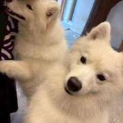 ヒメ日記 2025/10/23 13:12 投稿 あいか お姉京都