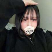 ヒメ日記 2026/01/25 10:03 投稿 りむる ジャパンクラブ富士