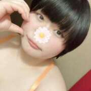 ヒメ日記 2026/04/03 11:27 投稿 れもん ぽっちゃり巨乳素人専門横浜関内伊勢佐木町ちゃんこ