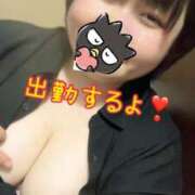 れもん 17時出勤💕 ぽっちゃり巨乳素人専門横浜関内伊勢佐木町ちゃんこ