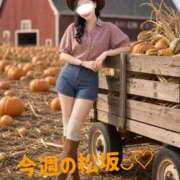 ヒメ日記 2026/10/12 08:02 投稿 松坂 ANECOTE