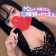 ヒメ日記 2025/06/03 18:46 投稿 いちか 吉原ファーストレディ