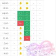 ヒメ日記 2025/08/07 12:56 投稿 いちか 吉原ファーストレディ