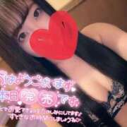 ヒメ日記 2025/08/28 07:58 投稿 いちか 吉原ファーストレディ