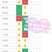 ヒメ日記 2025/09/03 17:26 投稿 いちか 吉原ファーストレディ