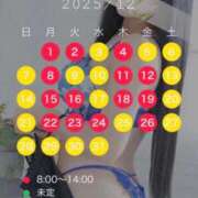 いちか 12月出勤予定🗓️ 吉原ファーストレディ